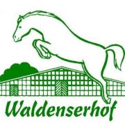 (c) Waldenserhof-springpferde.de
